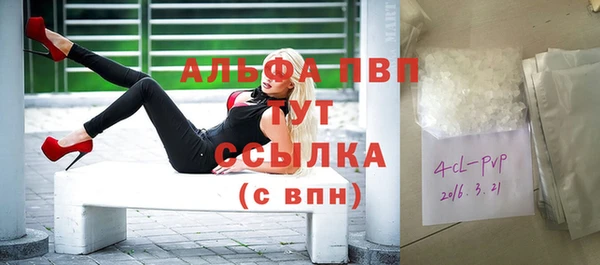 гашик Нефтегорск