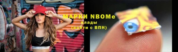 прущий лед Нея