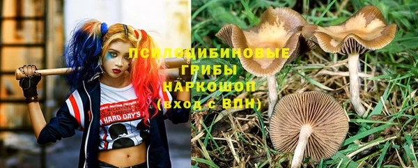 синтетический гашиш Нефтекумск